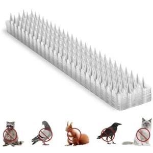 10/20Pcs Spikes Repeller Cat Plastic Bird Repellent Squirrel Garden Fences - Picture 1 of 16