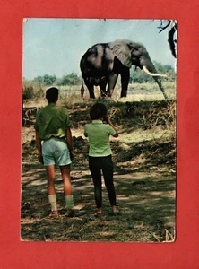ZAMBIA stamp & postmark ELEPHANT postcard animal LUANGWA VALLEY Africa man child - Imagen 1 de 3