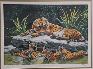 "Beneath The Midday Sun" by Suzie Emery or Stephen Gayford Tigers Print, 402/850 - Picture 1 of 13