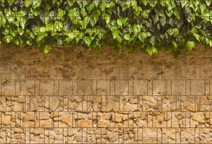 Ivy & Wall - Printed Privacy Strip Double Bar Fence - Picture 1 of 4