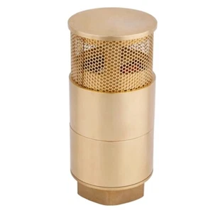 DN25 DN80 Petrol dispenser bottom valveTank double door check bottom valve - Picture 1 of 20