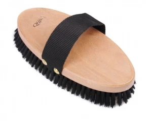 Cardillero con respaldo de madera y cerdas de colores ARBO-INOX®