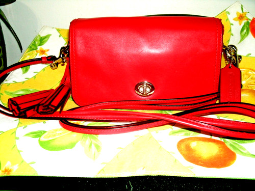 Coach Penny Pocket nuovo senza etichetta n. 19914 Bellissima piccola tracolla in pelle con nappa