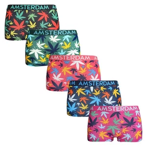 Ladies Knickers Boxer Briefs Underwear Cotton Amsterdam Collection 5 Pack - Picture 1 of 2