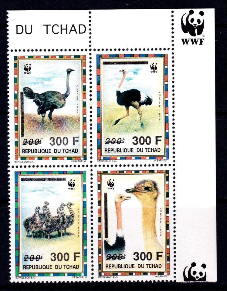 Pájaro de avestruz Chad 1996 - WWF embalaje original Juego completo como nuevo MNH bloque SC 693 Foto 1 de 1