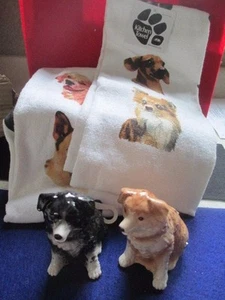 Border Collie  Salt Pepper  Set &  2 100 percent cotton towels - Picture 1 of 11
