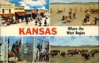 Dodge City Kansas Front Street ~ Branding calves ~ buffalo herd ~ postcard