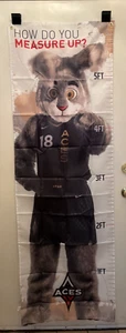 Las Vegas Aces Mascot BUCKETS How Do You Measure Up? Growth Chart NEW in bag - Picture 1 of 1