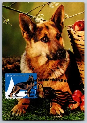 #5405 Military Working Dogs German Shepherds FDC Maxi Card w/Pictorial Cancel - Image 1 of 2