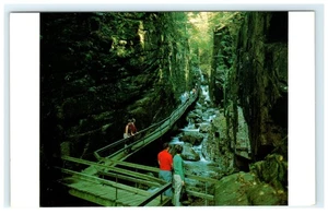 Die Flumeschlucht Franken Kerbe Weiße Berge NH Litho Postkarte - Bild 1 von 2