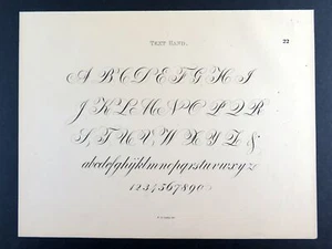 Script Text Hand - 1877 Frederick S. Copley vintage calligraphy alphabet print - Picture 1 of 3