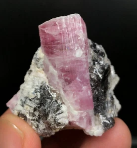62 Gram Tourmaline Crystal on Matrix Very Unique Beautiful Shape Specimen - Picture 1 of 6