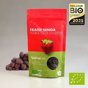 Bio Erdbeeren getrocknet aus den Dinarischen Alpen 100 g - Biofruisec - Bild 1 von 2