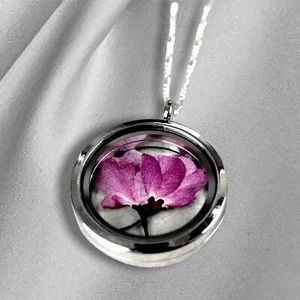 Japanische Kirschblüte Medaillon - 925 Sterling Silber Kette Sakura Kirschblüten - Picture 1 of 9