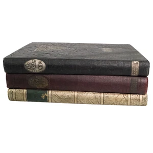 Lot of 3 1930's Yearbooks The X-Ray Medical College Of Virginia 1932-1934 - Picture 1 of 17