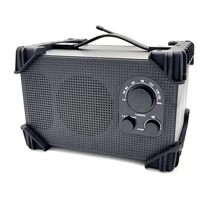 Baustellenradio IP54 Radio/AUX Robust Batterien/Netz Kompakt Schw. Terris BSR241 - Bild 1 von 5