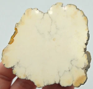 +++ DATOLITE (POLISHED) KEWEENAW COUNTY, MICHIGAN +++ - Picture 1 of 7