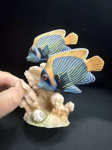 maravillas naturales 2 pez ángel emperador sobre coral - Imagen 1 de 6