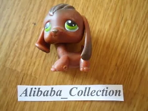 ** #77 CHIEN CHIOT BEAGLE BRUN DOG** LPS LITTLEST PETSHOP PET SHOP HASBRO - Foto 1 di 1