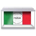 Fish Tank Background Padua Italy Flag Circle #59452
