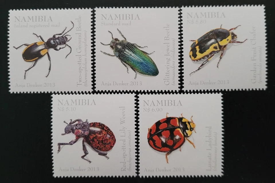 Namibia  2013 / Definitives - Insects /   5v set - Image 1 of 1
