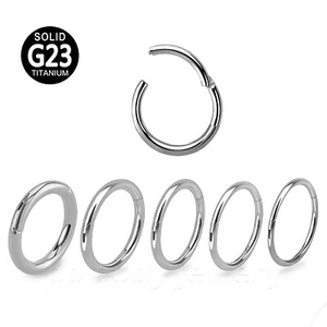 G23 Solid Titanium Hinged Segment Ring Earring Nose Ring Labret Septum Clicker - Picture 1 of 3