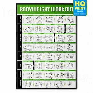 Full BodyWeight Workout No Equipment Gym Fitness Training POSTER PRINT LAMINATED