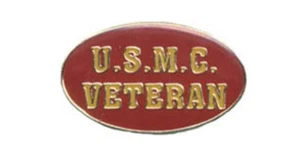 Wholesale Lot of 12 Marine Veteran Oval Lapel Hat Cap Pin Tie Tac FAST USA SHIP - Picture 1 of 1