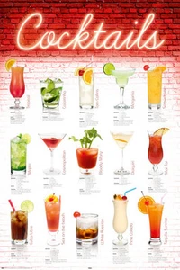 DRINKING POSTER Cocktails English - Picture 1 of 1