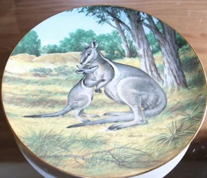Zaumzeug Wallaby Will Nelson 1990 Bradex Vintage Deko 84-G20-15,6 1727E - Bild 1 von 4