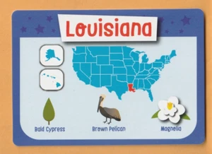 Tarjeta coleccionable flash del estado de Louisiana #18 magnolia marrón pelícano ciprés calvo - Imagen 1 de 2