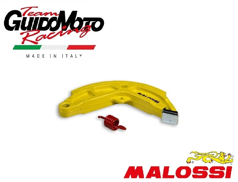FERODO POSTERIORE RACING CIAO BRAVO SI CICLOMOTORI PIAGGIO MALOSSI 6218165