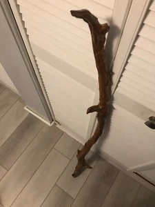 Bastón de caminar tallado a mano Florida cedro rojo madera flotante American Eagle 50" firmado - Imagen 1 de 17