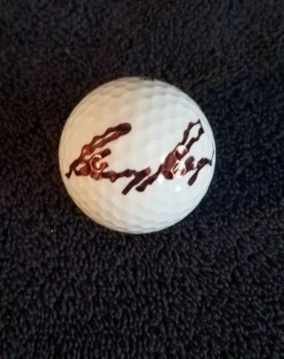 ¡GARY PLAYER PGA GOLF LEGEND TITLEIST BOLA FIRMADA MIEMBRO DEL SALÓN DE LA FAMA L@@K! WOW Foto 1 de 2