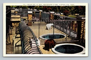 Vintage Bear Pit Postcard, Brookside Park Zoo, Cleveland Ohio - Picture 1 of 2