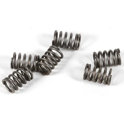 Suzuki SV 1000 2003-2007 Street EBC CSK embrague resorte actualización Foto 1 de 2