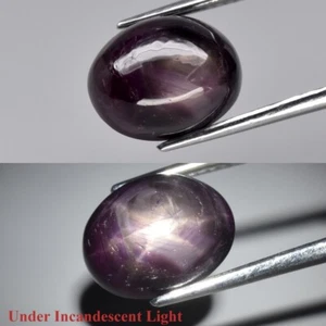 7.64ct Oval Cab Purplish Red 6 Ray Star Ruby Gemstone (Heated Glass Filling) - Picture 1 of 12
