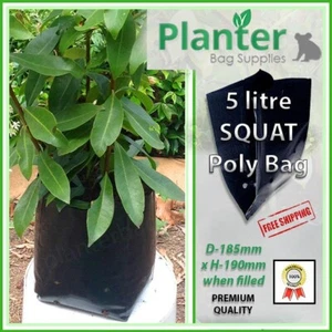 5 Litre SQUAT Poly Planter Bags - Pack of 500 - Aus made grow bag - Picture 1 of 3