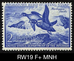 RW19 Fine+ BRIGHT MNH 1952 US Federal Migratory Waterfowl Duck Stamp Arlequins - Photo 1/3