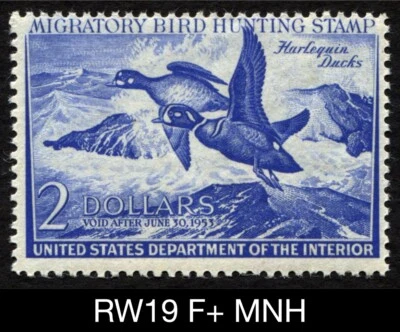 RW19 Fine+ BRIGHT MNH 1952 US Federal Migratory Waterfowl Duck Stamp Harlequins - Image 1 of 3