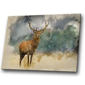 Animal Canvas Print Framed Kitchen Wall Art Photo Picture Stag Deer Watercolour - Picture 1 of 4