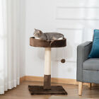 Tour arbre à chat 70 cm avec tiret à gratter en sisal coussin de lit chaton jouet marron