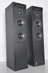 Meridian DSP5000 Digitales Lautsprechersystem bodenstehend angetriebene Lautsprecher schön - Bild 1 von 21