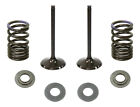Outlaw Racing Or5232-Ek Exhaust Valve And Spring Kit Crf250r 04-07 Crf250x 04-16