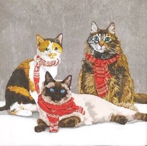 T405# 3 x Single Paper Napkins For Decoupage Three Funny Cat With Winter Scarf - Picture 1 of 12