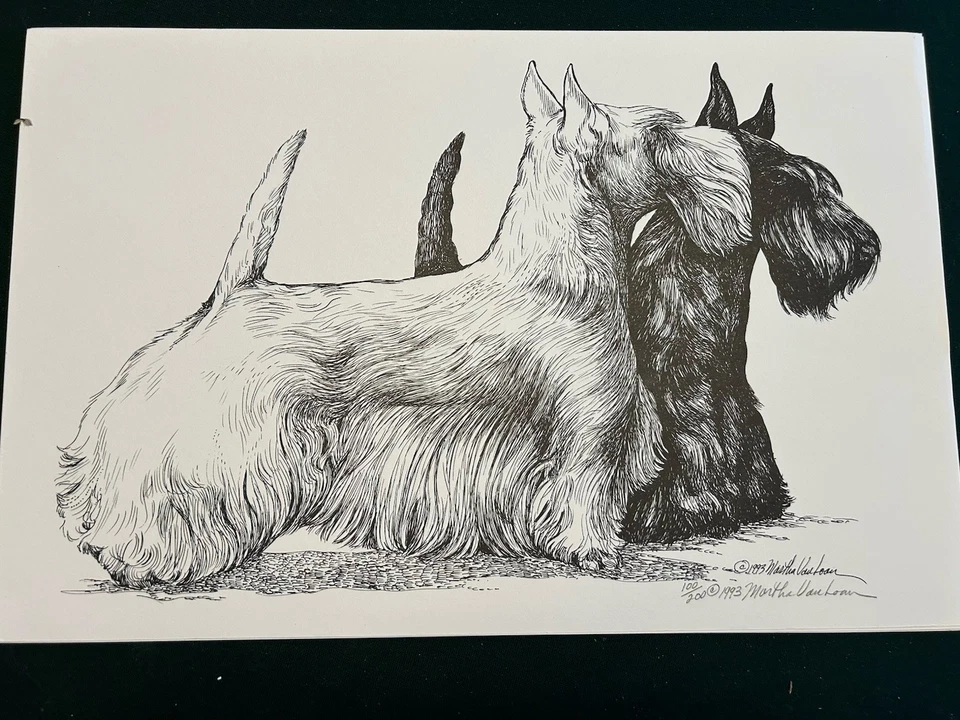 Шотландский терьер печать Марта Ван Лоан 11 x 17 подписанный - Изображение 1 из 1
