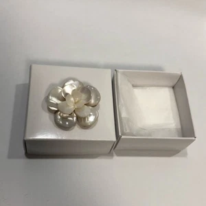 Chanel Brooch Shell 01A Camellia Tube XY13 E17 Cream Color with Box Used - Picture 1 of 9