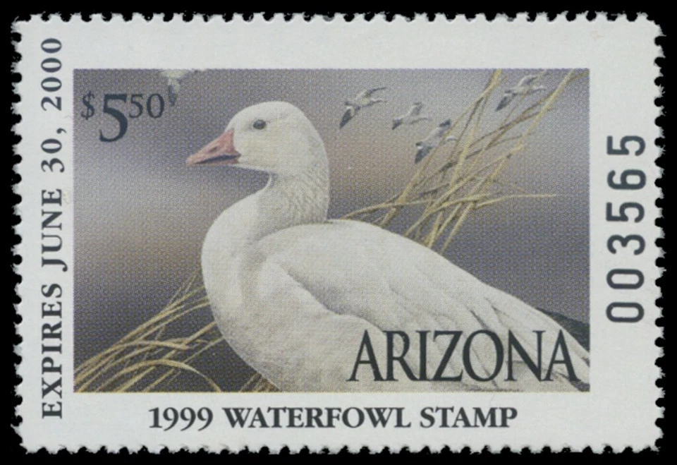 1999  Arizona State Duck Stamp Mint Never Hinged. Original Gum  - Image 1 of 1