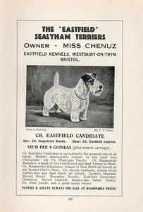 SEALYHAM TERRIER ALTER VINTAGE 1934 HUNDEDRUCK SEITE "" CHAMPION EASTFIELD KANDIDAT - Bild 1 von 1