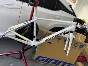 2025 GIANT TCR SL FRAMESET Size X-Small My25 Integrated Cables Gen X OPAL Color - Picture 1 of 5